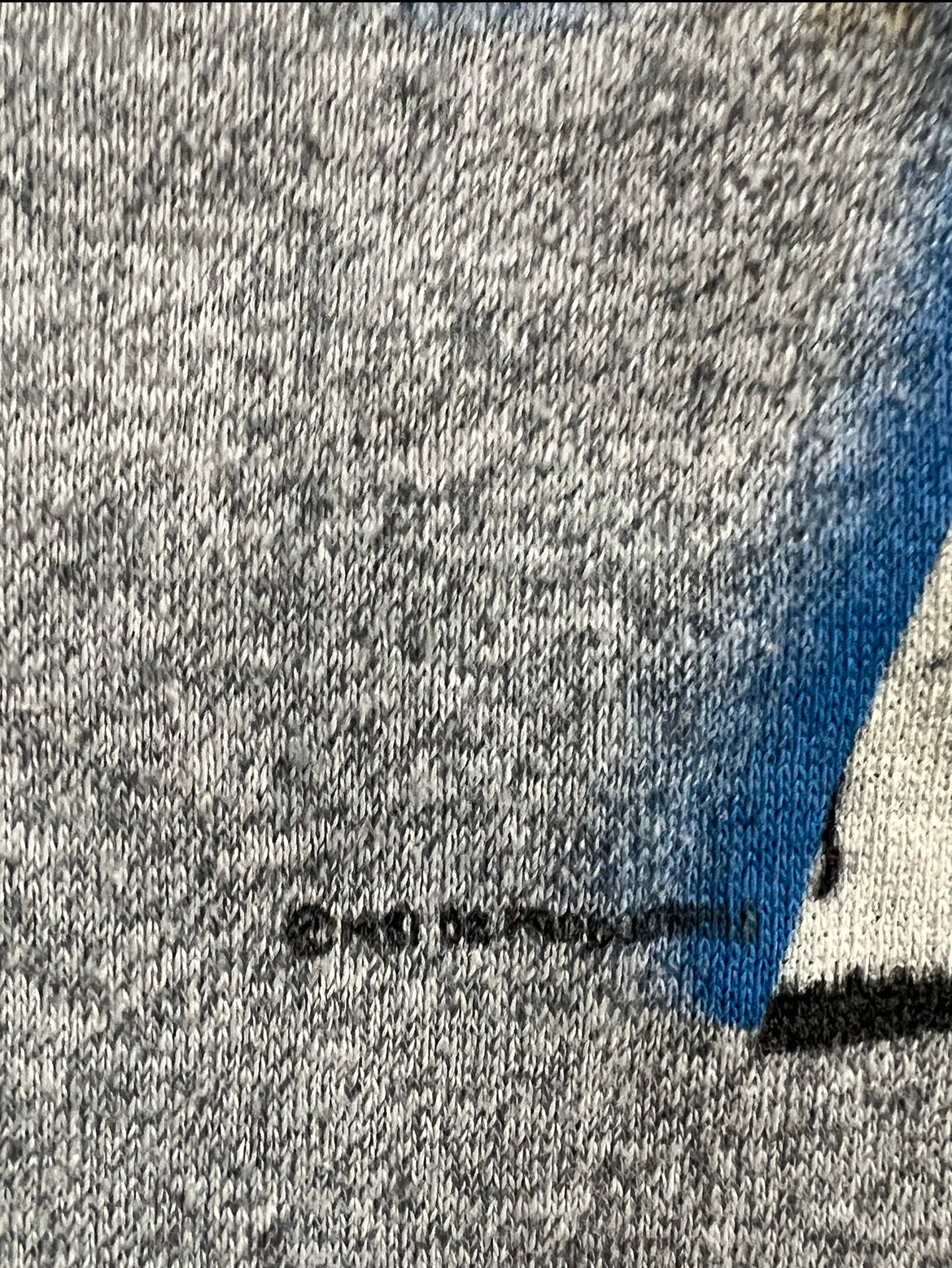 Ozzy Diary of a Madman raglan